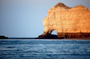 4436797 the elephant, cliffs of etretat, normandy, france