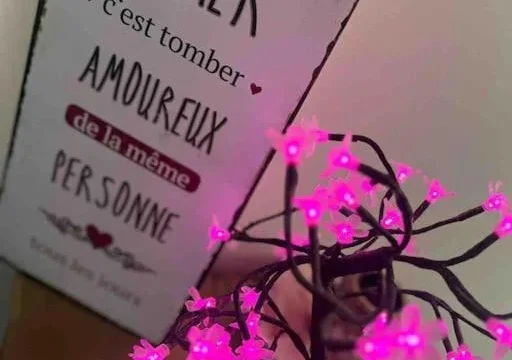 img 69c267b7a10d66.81703997
