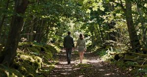 bains de forêt en normandie : randonnées en amoureux